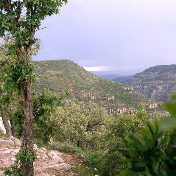 Explorar Las Ventanas – DURANGO, AVENTURA Y ECOTURISMO